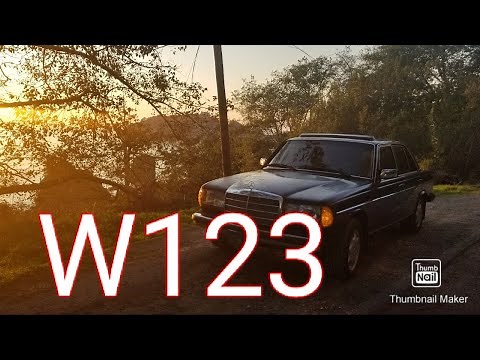 W123 Window Switches complete guide