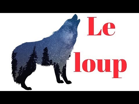 Poème : Le loup