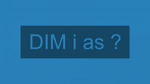 Excel VBA Data types, DIM & SET (Learn to use them correctly)