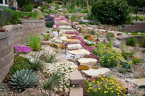How to DIY a Rock Garden to Transform Your Yard