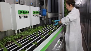 196K views · 48 reactions | Learn all about the technology and plant science that turns a 30 square meter freight container into a commercial-scale farm. | Freight Farms | Facebook