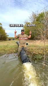113K views · 32K reactions |  What do you think? The Cajuns,...