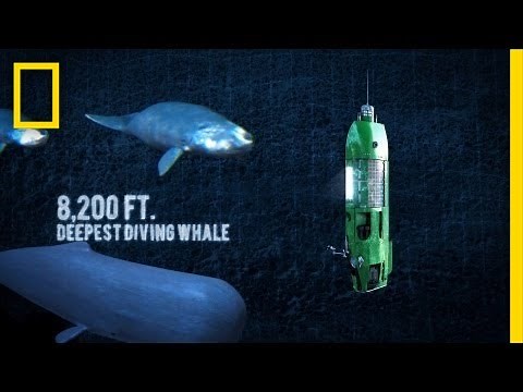 Long Way Down: Mariana Trench | National Geographic