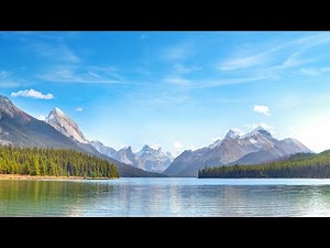 Daily Calm Live Stream: Caregiving