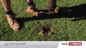 2.2K views · 13 reactions | Ever needed a little more than...