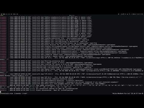 Automatic Crowdsec Installation With Traefik in Pangolin