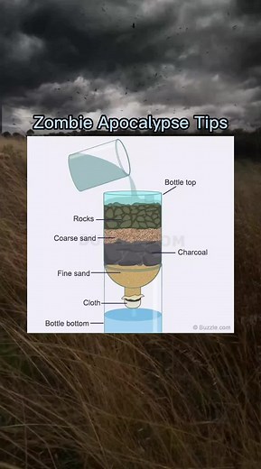 Ultimate Zombie Survival Tips: Expert Advice for the Zombie Apocalypse