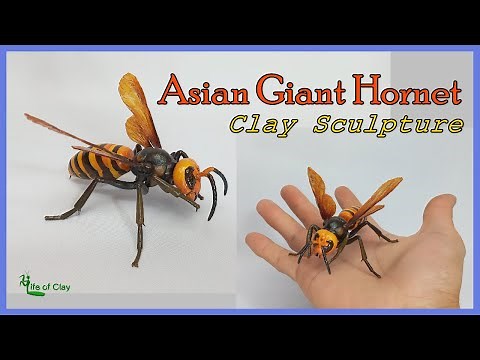 Sculpting Asian Giant Hornet_Vespa mandarinia_Polymer Clay_Making Insect Wings_@LifeofClay