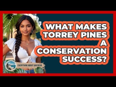 What Makes Torrey Pines A Conservation Success? - Everything About San Diego