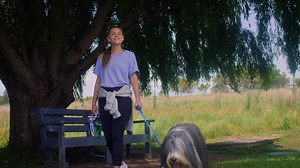 270 reactions · 26 shares | Being a paw parent can be stressful!  That's why we offer pre-paid Vet claims So you can let them live a little . Authorised FSP. Underwritten by Bryte Insurance Company Ltd, a licensed insurer and an authorised FSP (17703).T&Cs Apply. Prices are risk profile dependent. | Oneplan Pet Insurance | Facebook