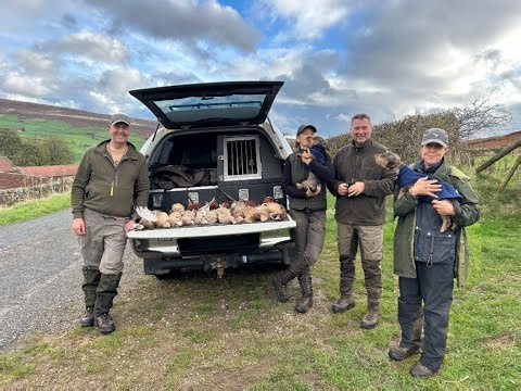 Training with Field Trail Labradors and Springers, probably the best retrieve i have ever seen.!!!