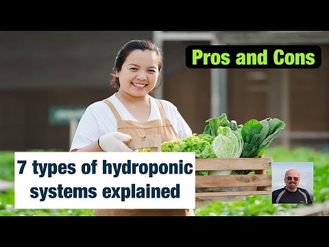 Seven types of hydroponic systems