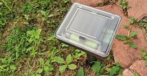 Do Ultrasonic Pest Repellers Work On Squirrels? (Find Out Now!)