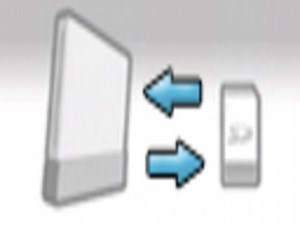 Savegame Manager Wii