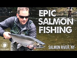 Salmon River, NY Epic Run - Fly Fishing for Biting Salmon