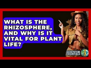 What Is The Rhizosphere, And Why Is It Vital For Plant Life? - Ecosystem Essentials