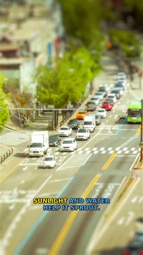 What tiny secret hides inside ⚡