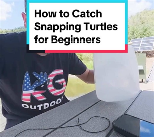How to Catch Snapping Turtles for Beginners | snapping turtles