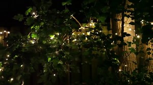 SoftTwinkle® LED Christmas Lights - Wintergreen Corporation