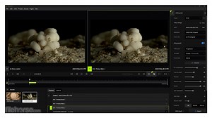 Topaz Video AI video review