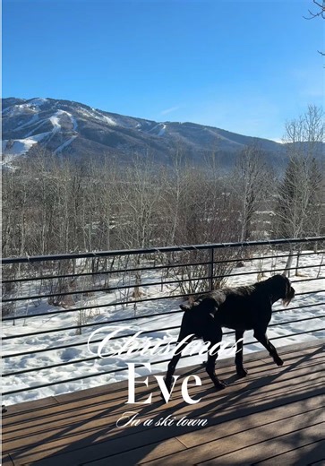 Family Time in the Mountains