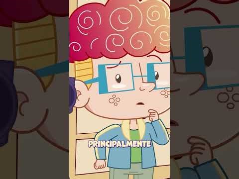 Greenwashing explicado!