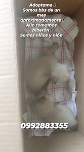 6.7K views · 589 reactions | Caso externo Fueron encontrados en el...