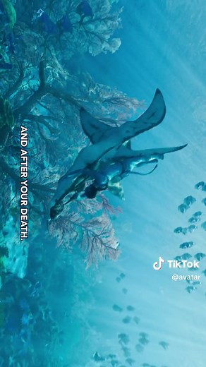 Exploring Avatar's Water World: Creatures, Animals, and Quotes