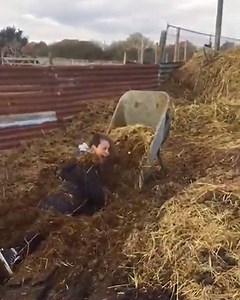 Going into 2020 like [via @storyful] | theCHIVE