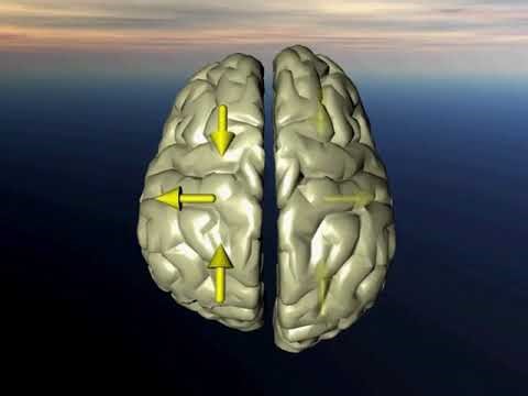 Primary Respiratory Mechanism: Inhalation and Exhalation Phases in the Cerebral Hemispheres