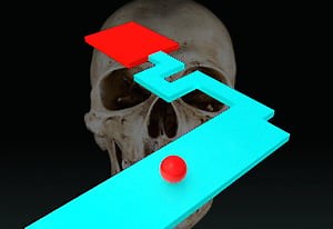 Scary Maze