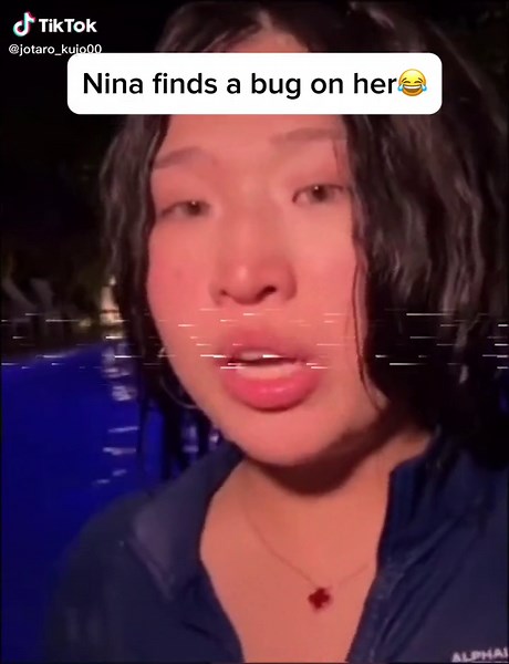 Jotaro Kujo: A Beloved Character Edit