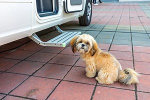 10 RV Mods For Dogs That Will Make Life Easier