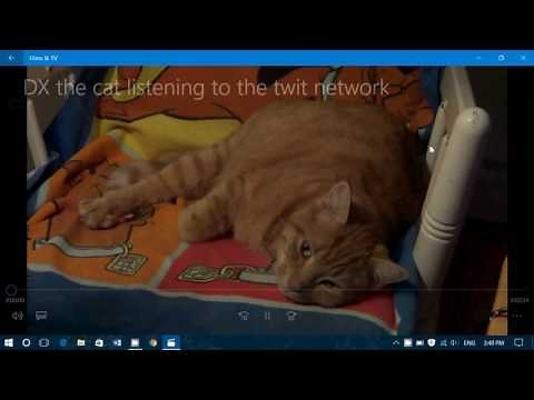 Video playback options and settings in Film and TV Movies and TV