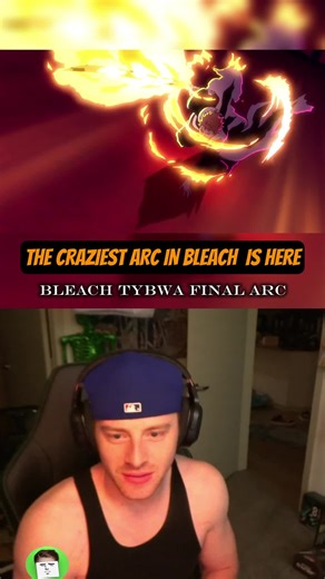 Ichigo's Appearance in Horn of Salvation