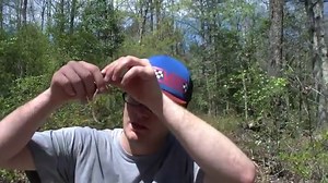 53 Snakes in Florida: Guide to All Native & Invasive Species