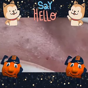 69K views · 452 reactions | Woo!!The Best Work! | English poems | Facebook