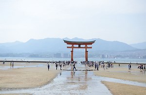 宮島観光1泊2日モデルコース！王道の名所を巡る女子旅満喫プラン