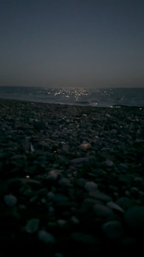 19 reactions | My Fish Room on Reels | Facebook