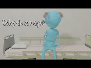 The New Theory of Aging - A Degenerative Disease