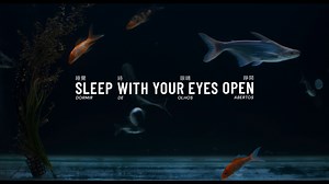 Sleep with Your Eyes Open