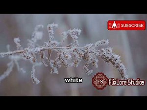 How Do Plants Survive in the Arctic Tundra