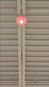 System Sensor L Series PC2RL Horn Strobe