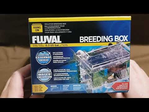 Fluval Breeding Box Unboxing and Review
