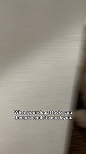 9.4K views · 1K reactions | whatever makes her happy i guess 沈 | hi, i'm mila | Facebook