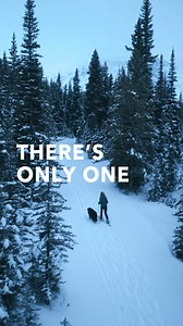 Win winter. Explore the Grand Cherokee 4xe. | Jeep | Facebook