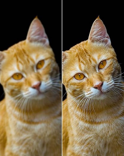 How to Sharpen Image in Photoshop