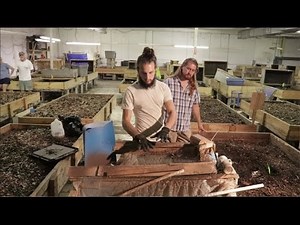 Tour a Commercial Worm Farm!