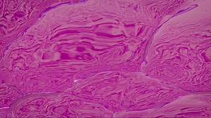 Water, Animation, Loop. Free Stock Video