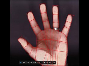 Rhino 7- SubD Hand Challenge